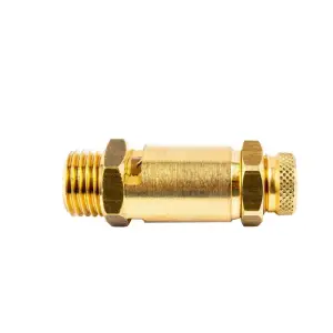 SP COMPR SAFETY VALVE 2E 1/4" 2000/20